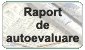 Raport de autoevaluare
