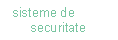 Sisteme de securitate